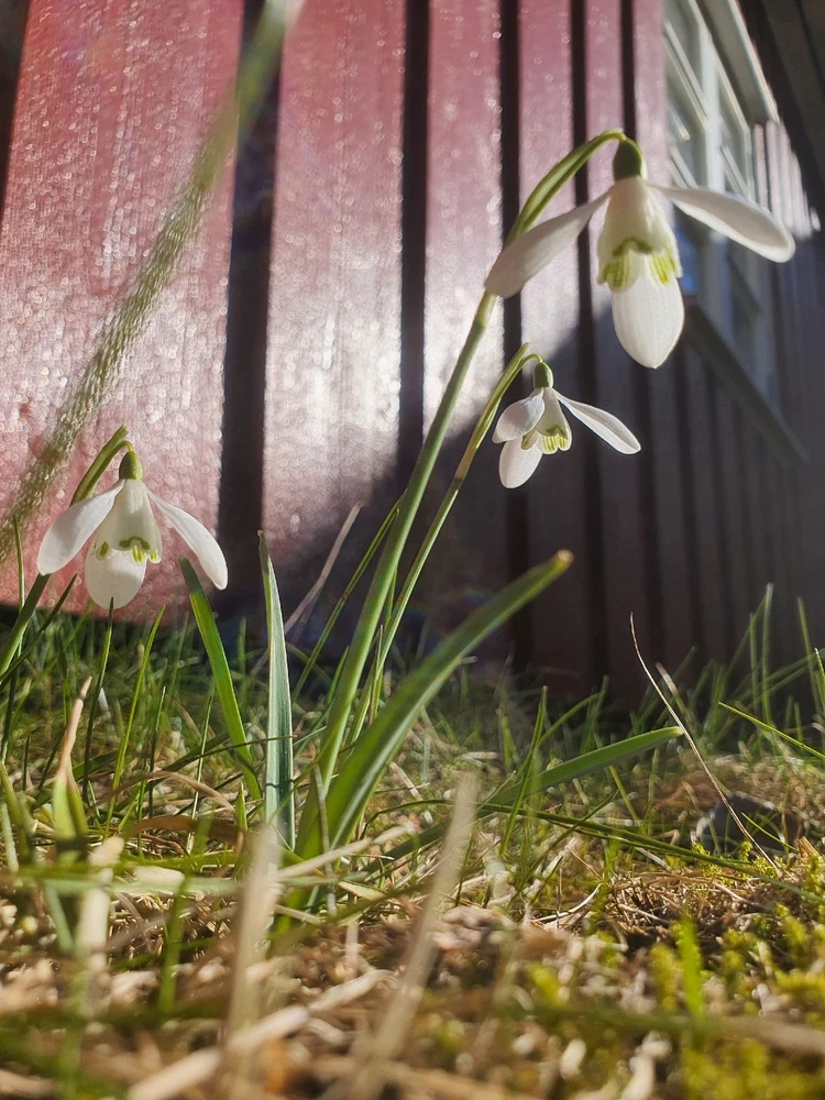 GIF uploaded by Øyvind