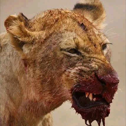 GIF subido por Jorge