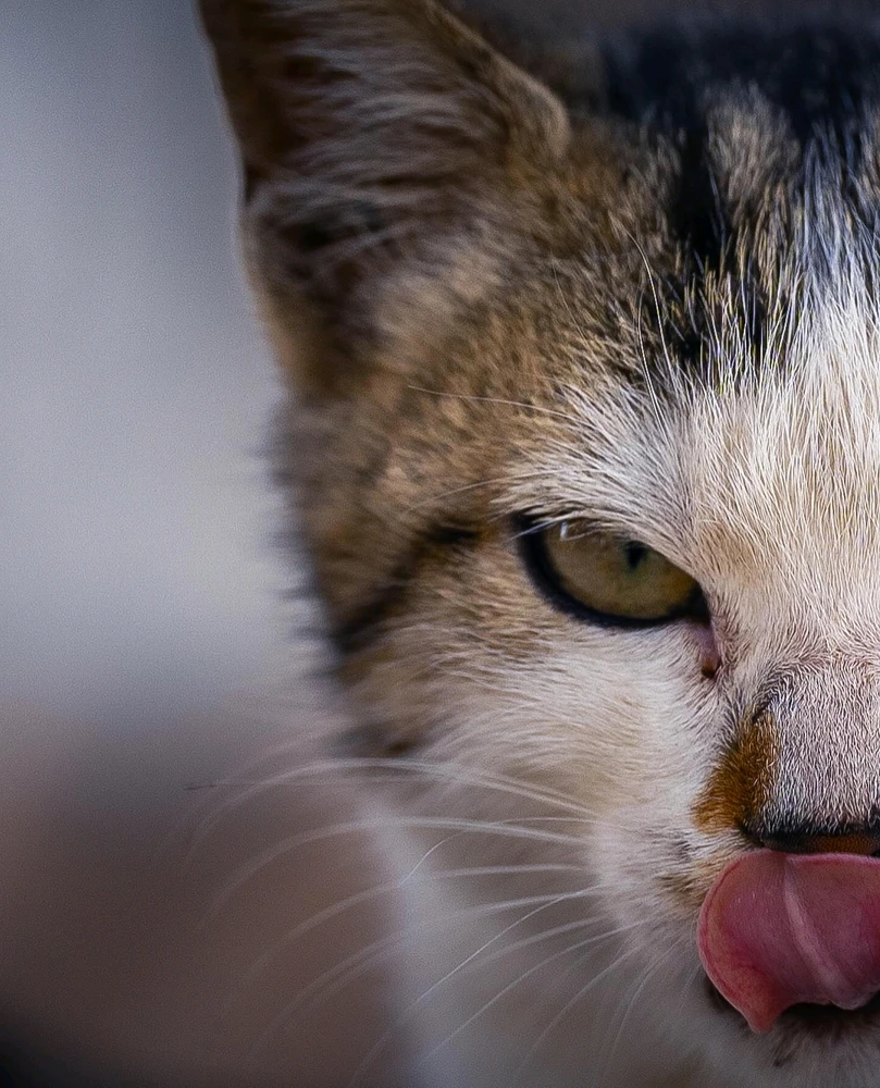 GIF загрузил Sediko