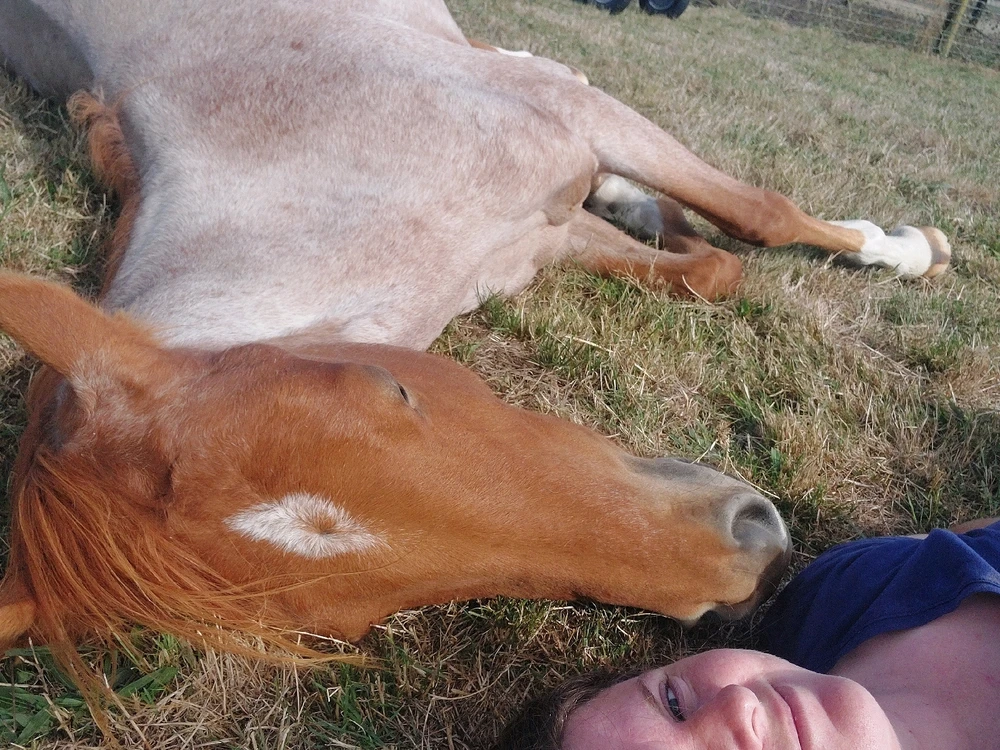 GIF uploaded by Brya