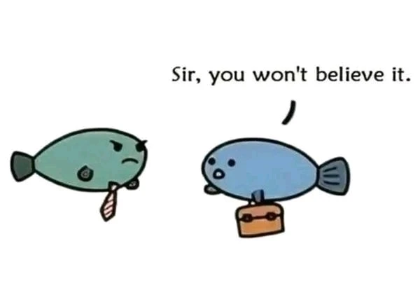 Image uploaded by Mijael