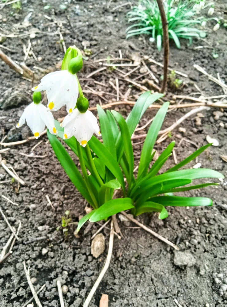 GIF uploaded by Marius