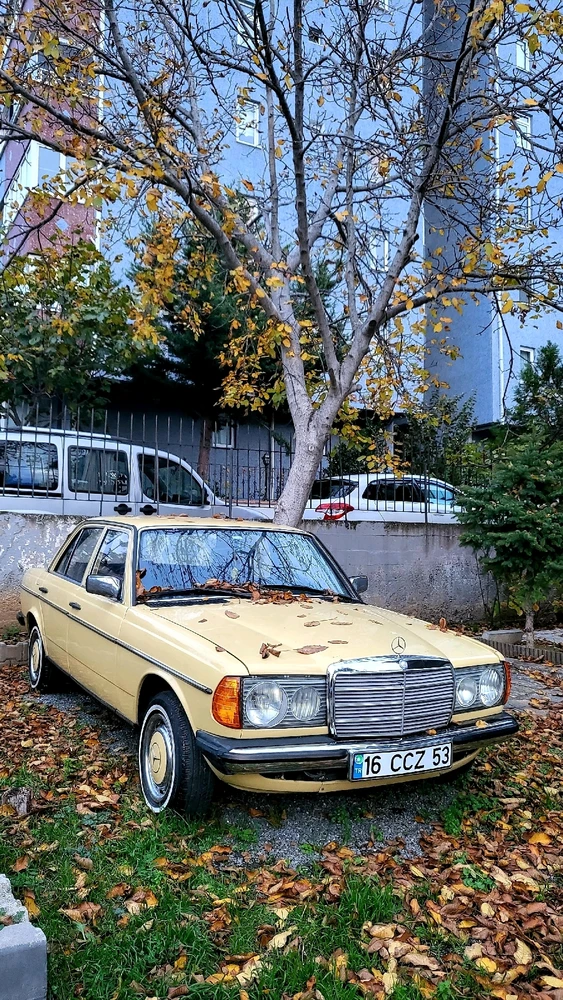 Ali tarafından yüklenen GIF