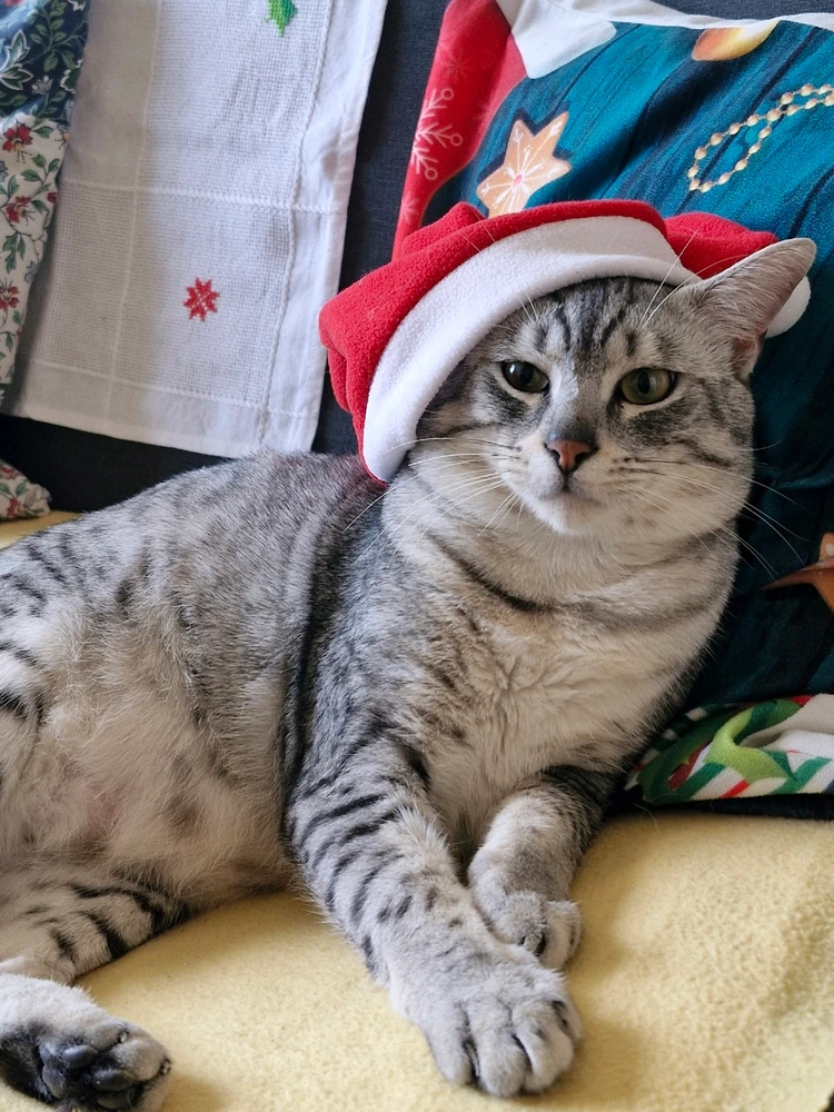 GIF ajouté par Peggy