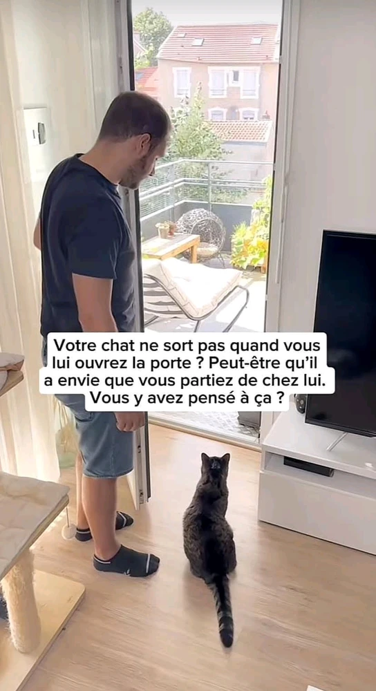 Chat alors!