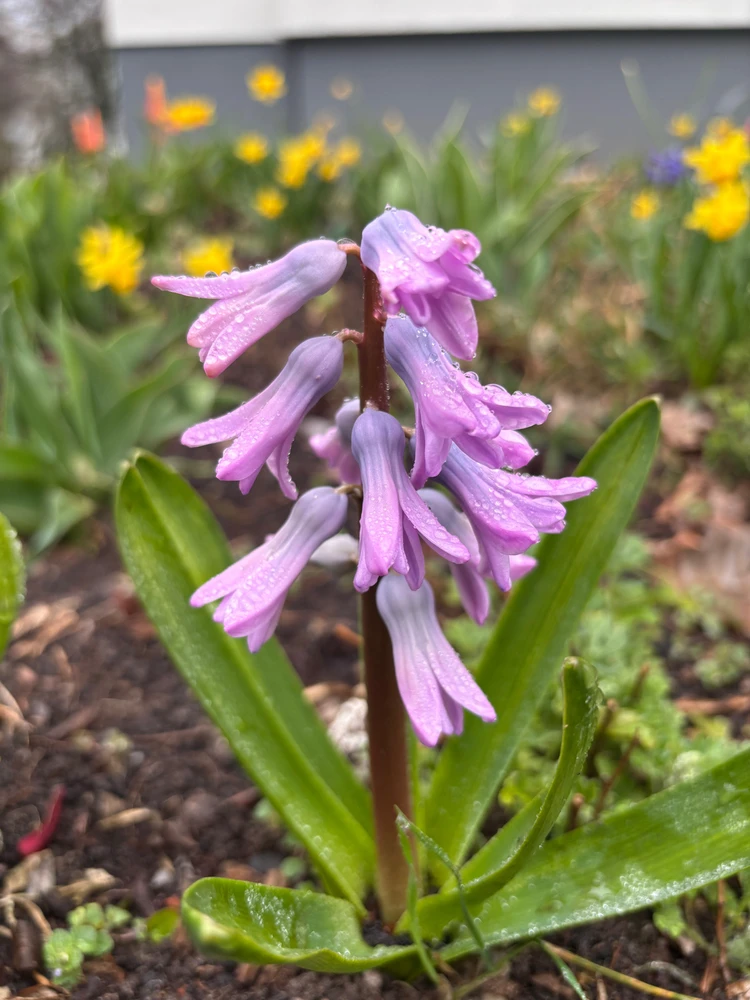 Kadri tarafından yüklenen görsel