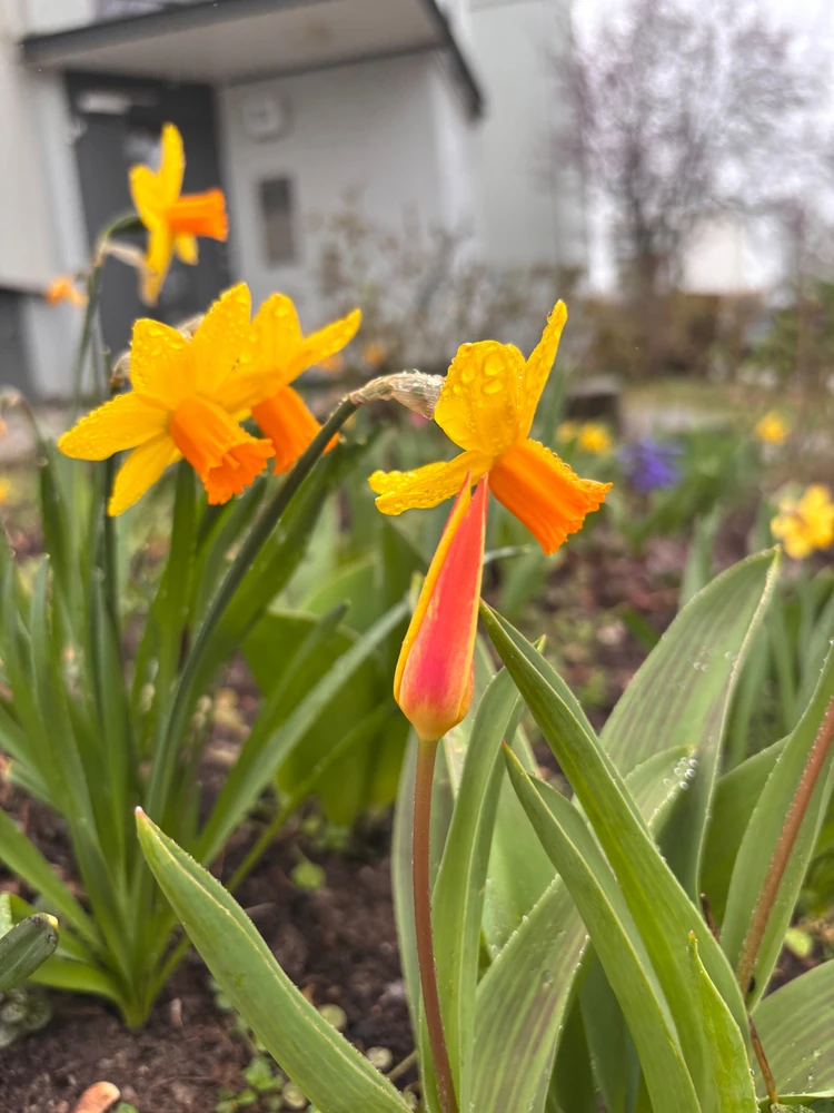 Kadri tarafından yüklenen görsel