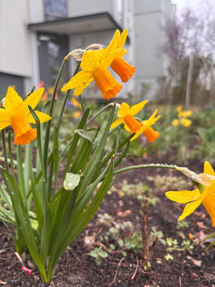 Kadri tarafından yüklenen görsel