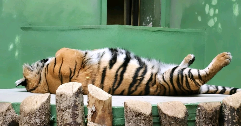 Zdjęcie dodane przez Damian