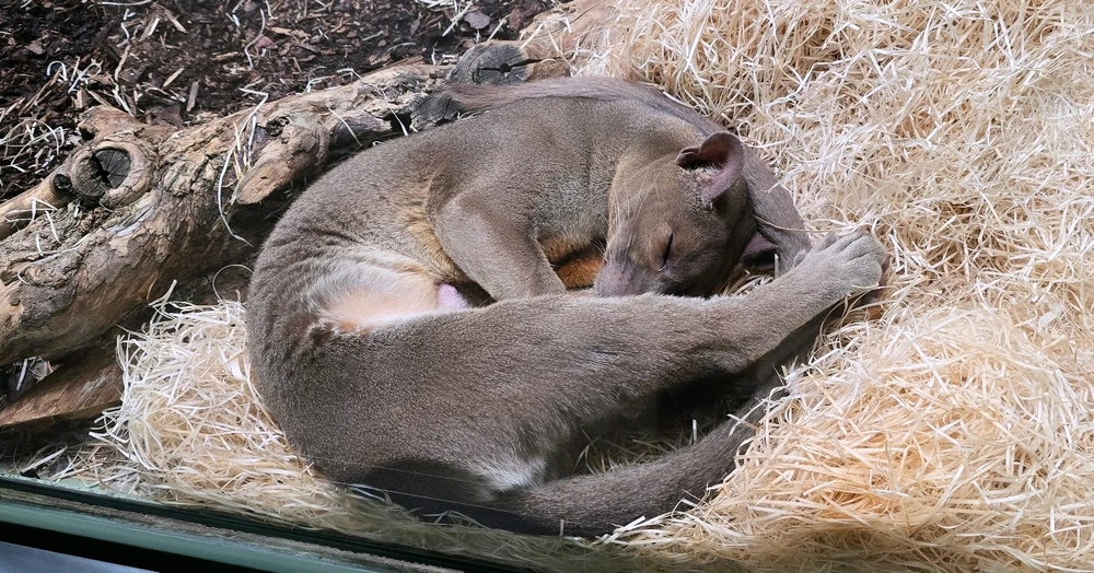 Zdjęcie dodane przez Damian