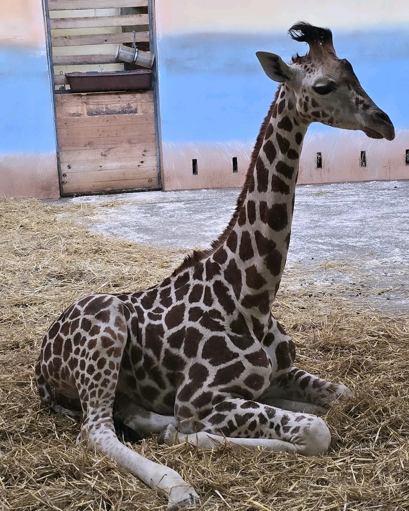 Zdjęcie dodane przez Damian