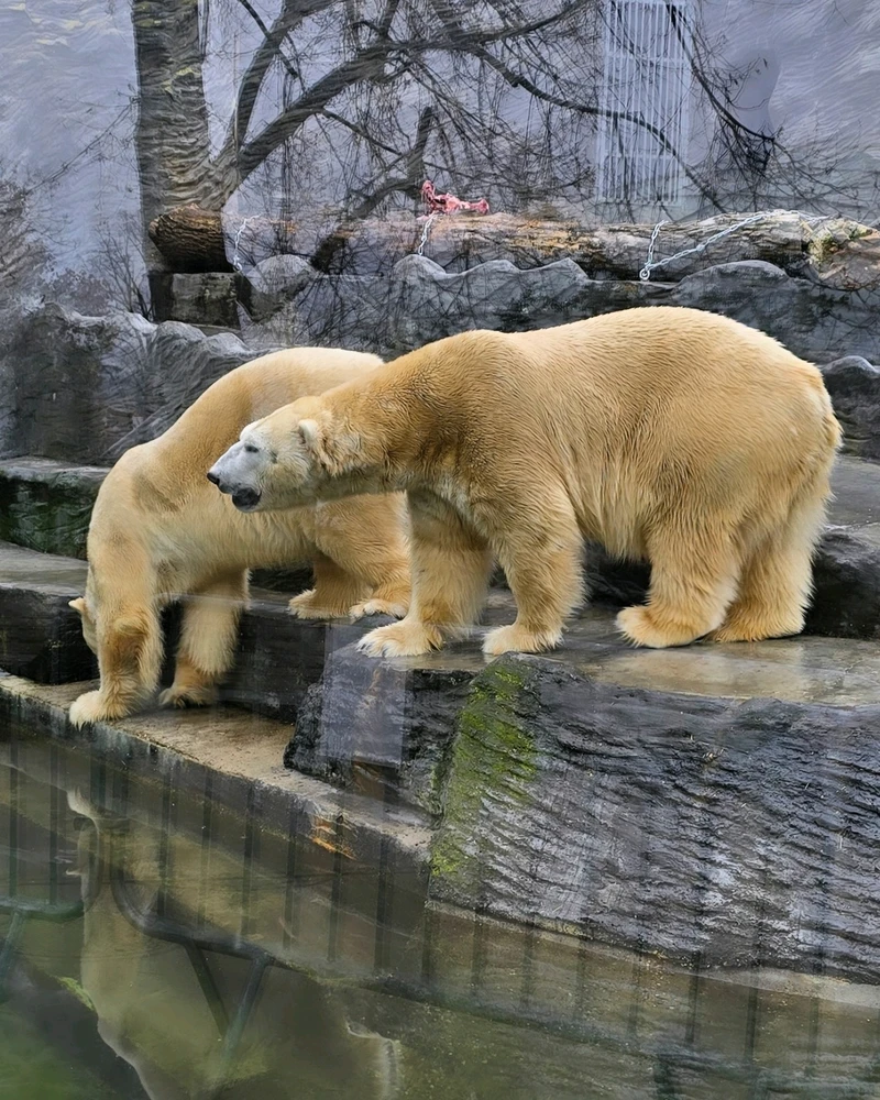 Zdjęcie dodane przez Damian