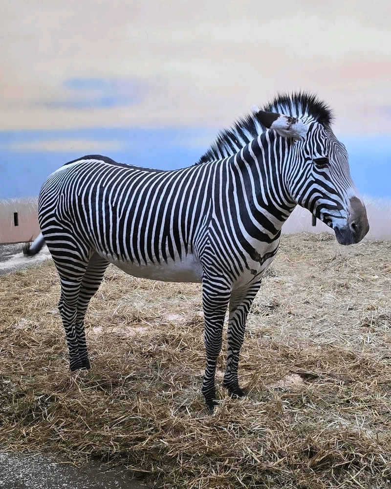 Zdjęcie dodane przez Damian