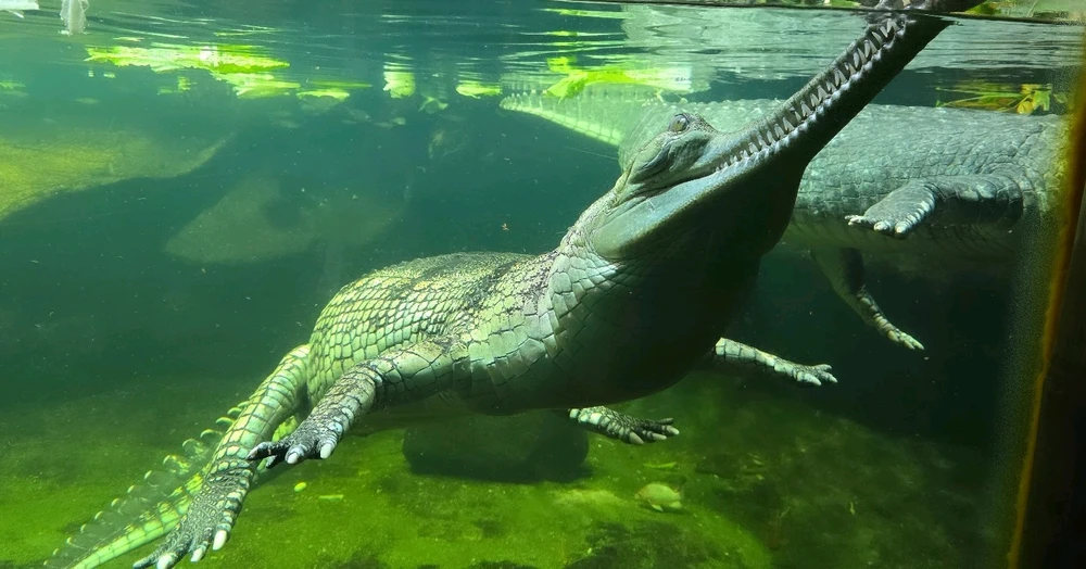 Zdjęcie dodane przez Damian