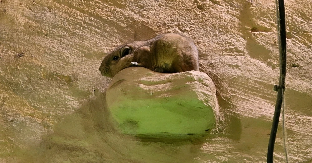 Zdjęcie dodane przez Damian