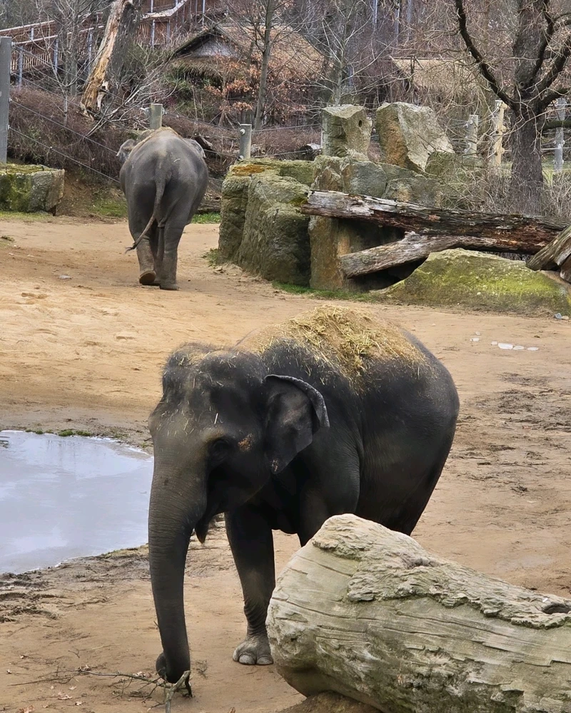 Zdjęcie dodane przez Damian