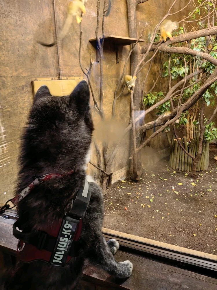 Zdjęcie dodane przez Damian