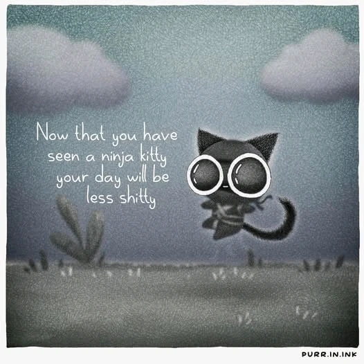 GIF încărcat de ioana