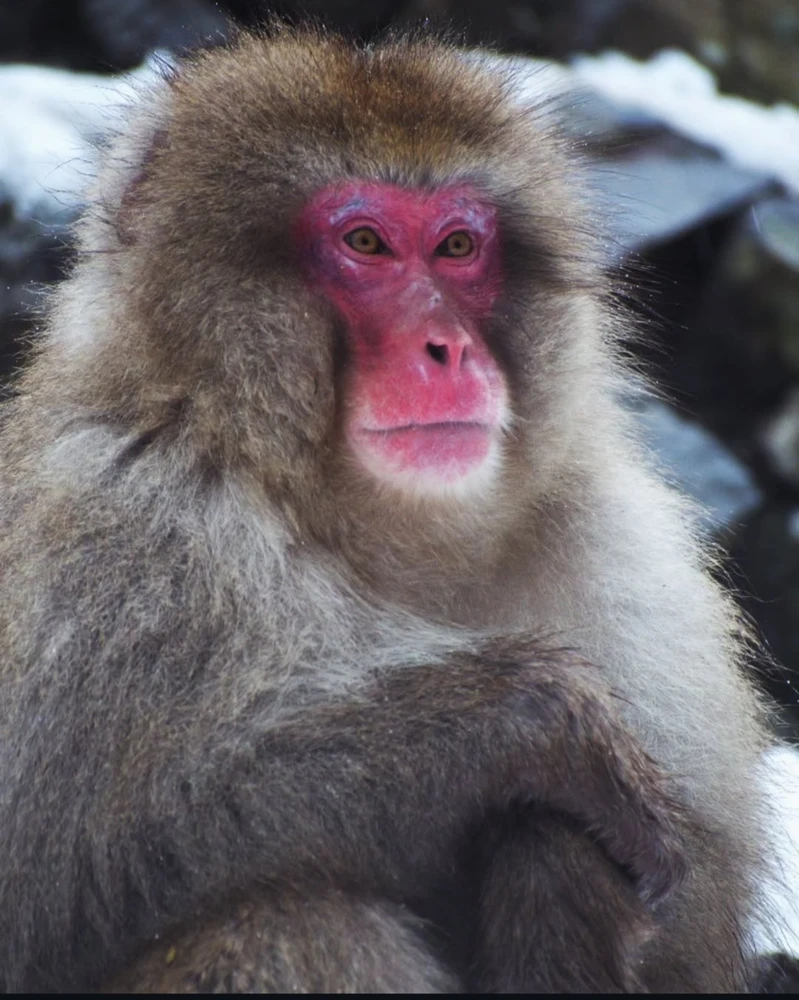 GIF subido por Abril