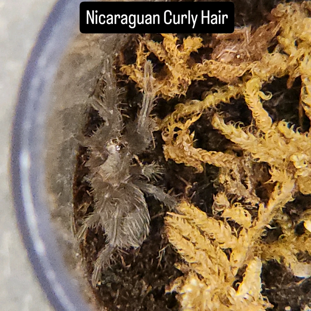 Image uploaded by Tim