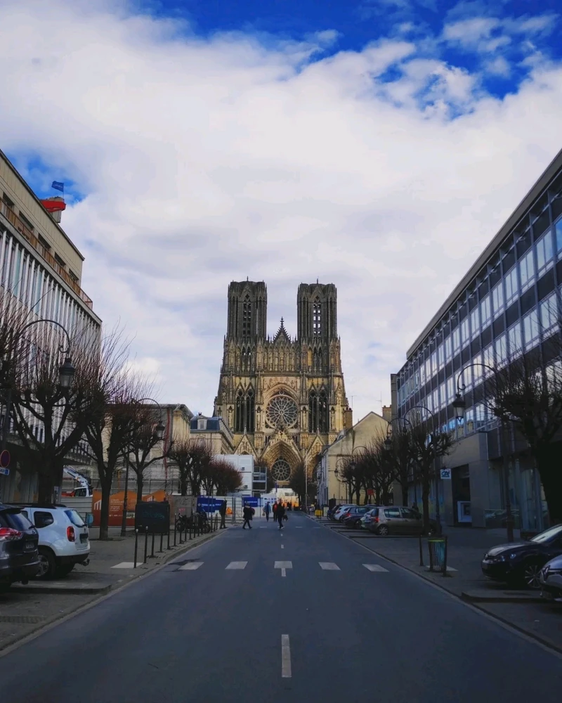 Image uploaded by Niv