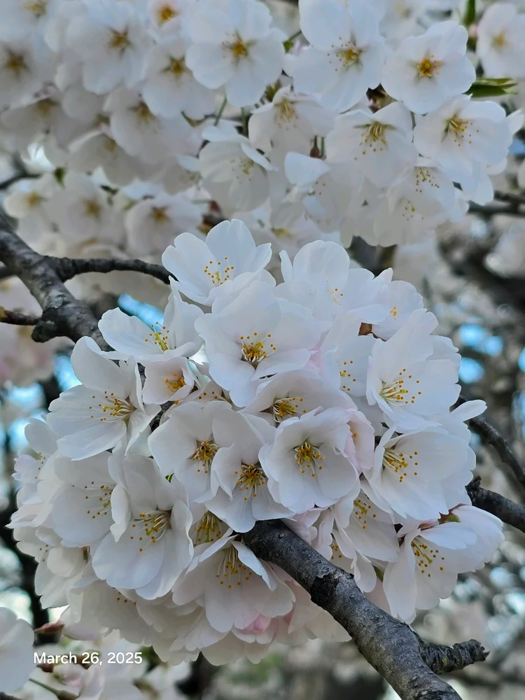 Gambar diunggah dening Tracey