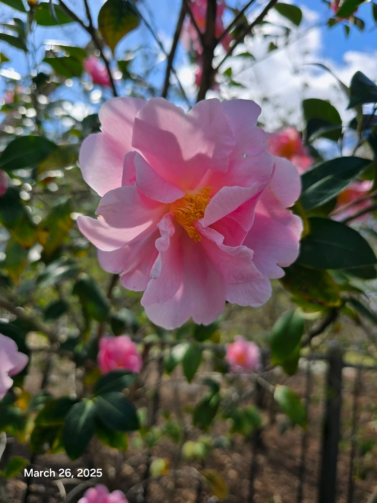 Gambar diunggah dening Tracey