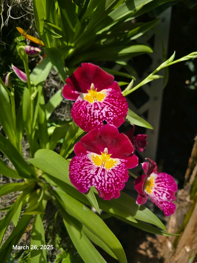 Gambar diunggah dening Tracey