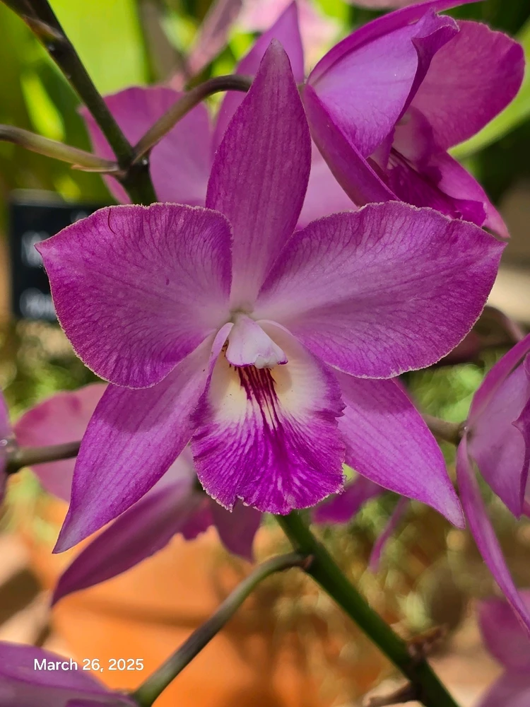 Gambar diunggah dening Tracey