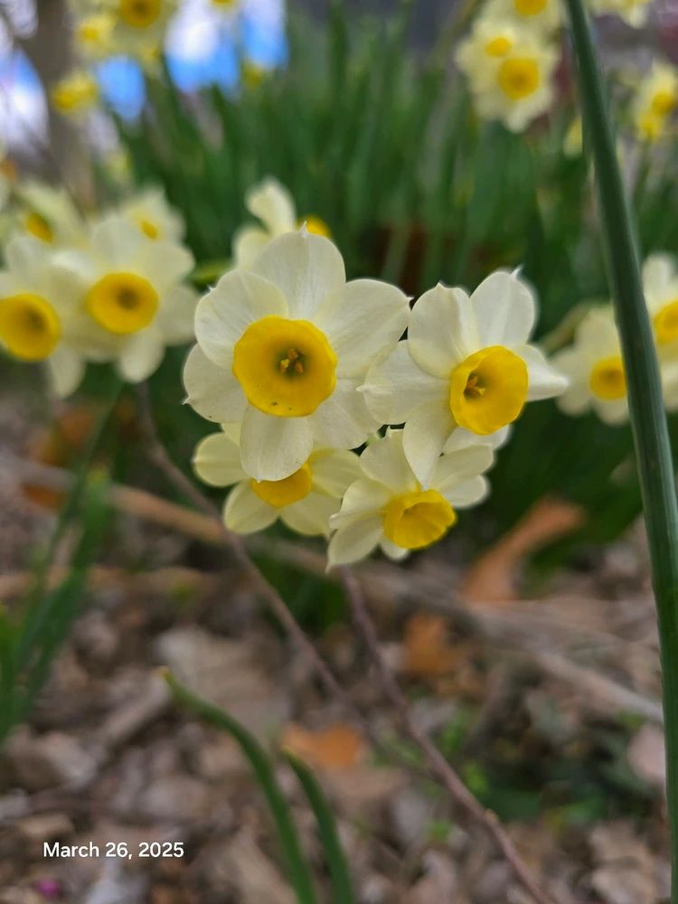 Gambar diunggah dening Tracey