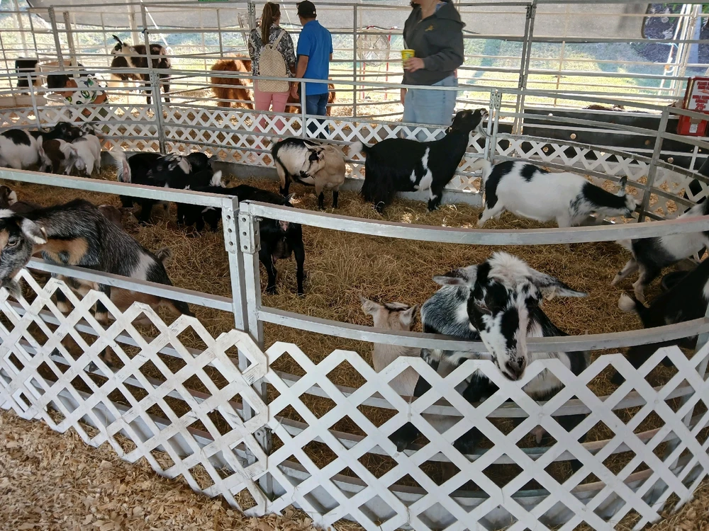 Gambar diunggah dening Tania