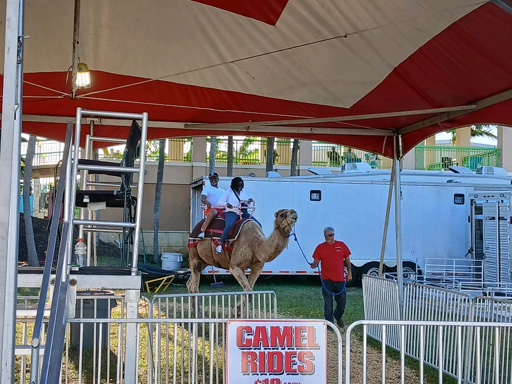 Gambar diunggah dening Tania