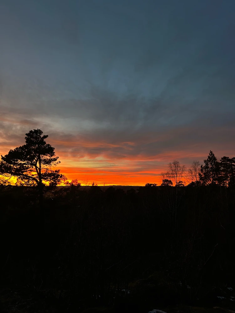 Гіфку завантажив Valeriia