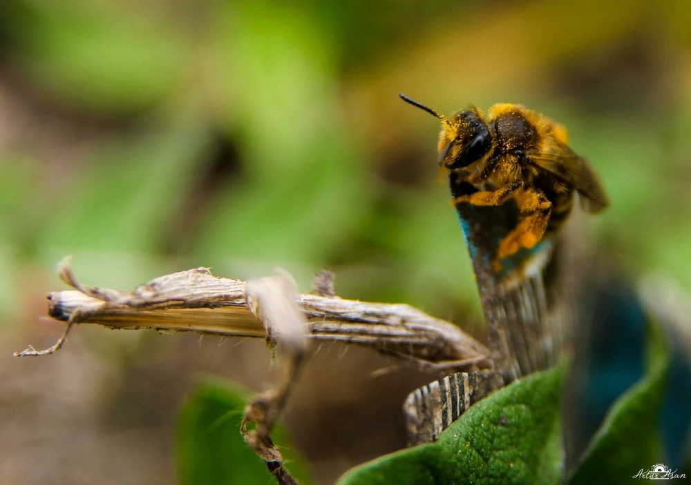 GIF încărcat de Artur