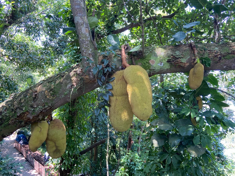 Image uploaded by Denis