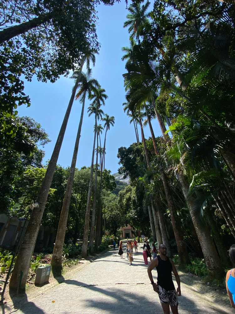 Image uploaded by Denis