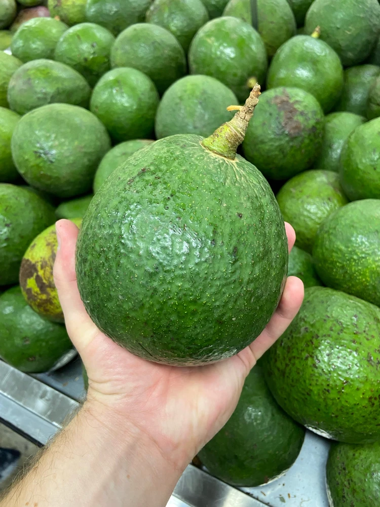 Image uploaded by Denis