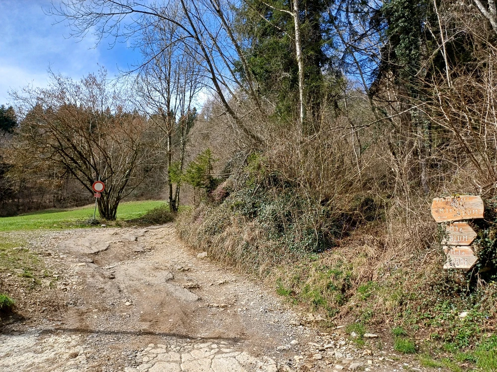 GIF caricata da Carlo Beccarelli