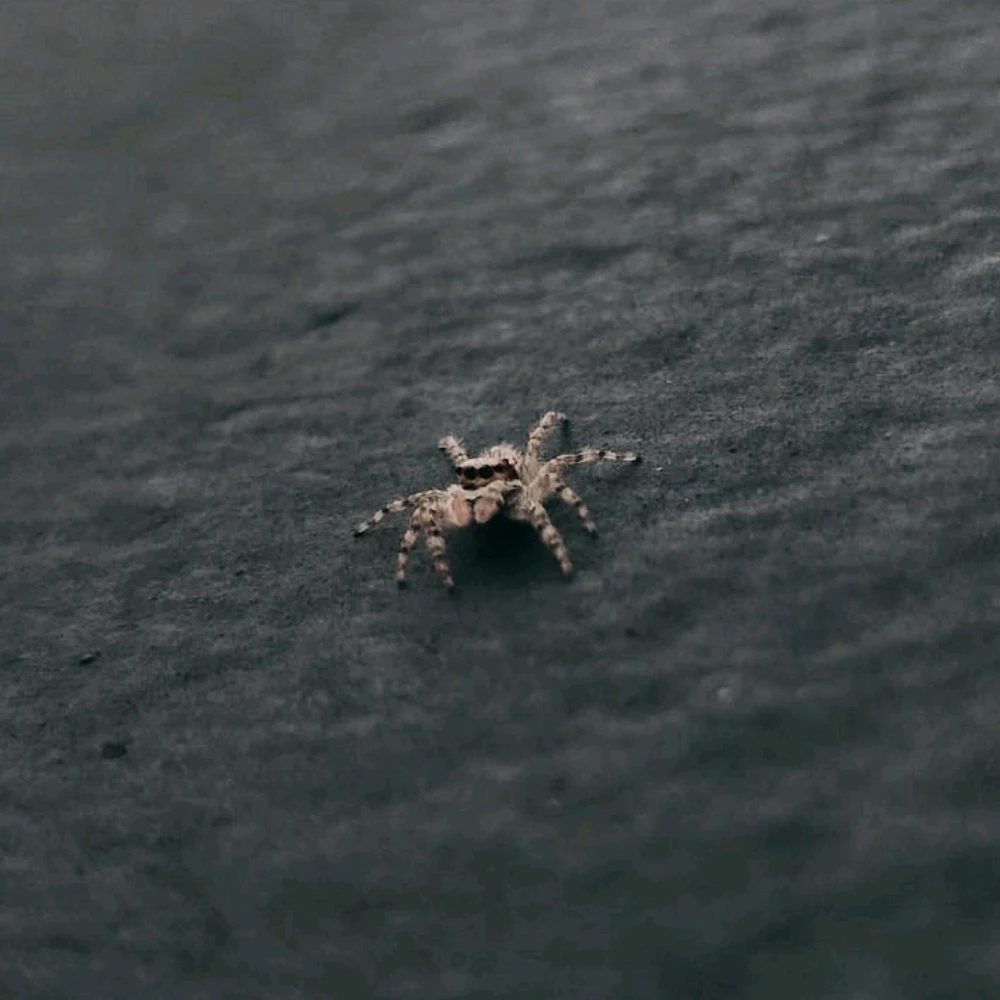 GIF uploaded by Ursix