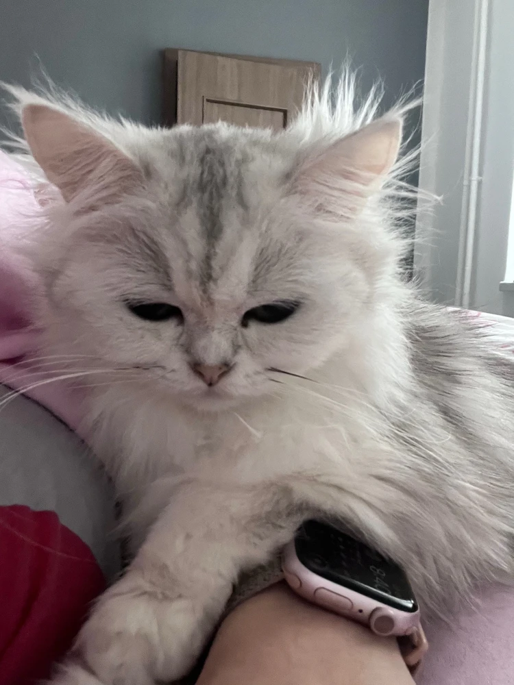 GIF nahrál Kris~pinnkie