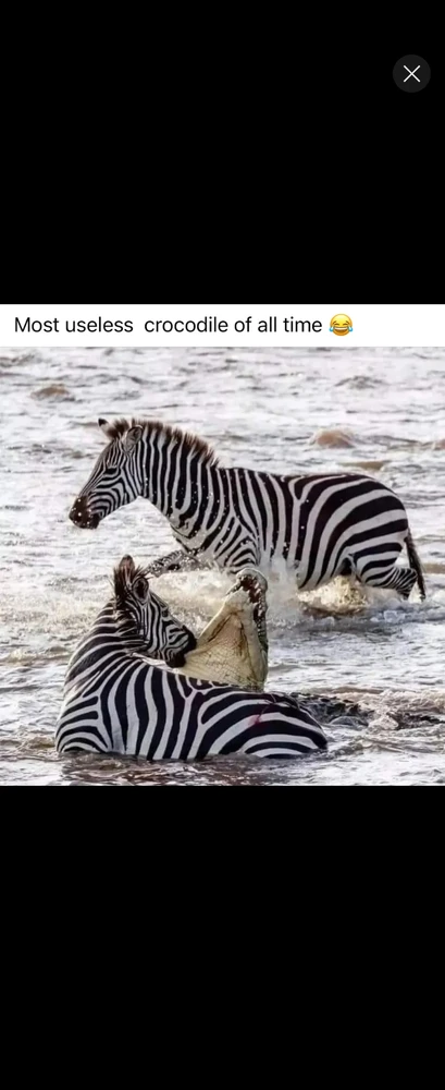 GIF uploaded by *JB* 🇬🇧🇬🇷