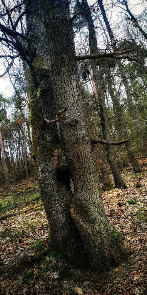 GIF hochgeladen von Basti