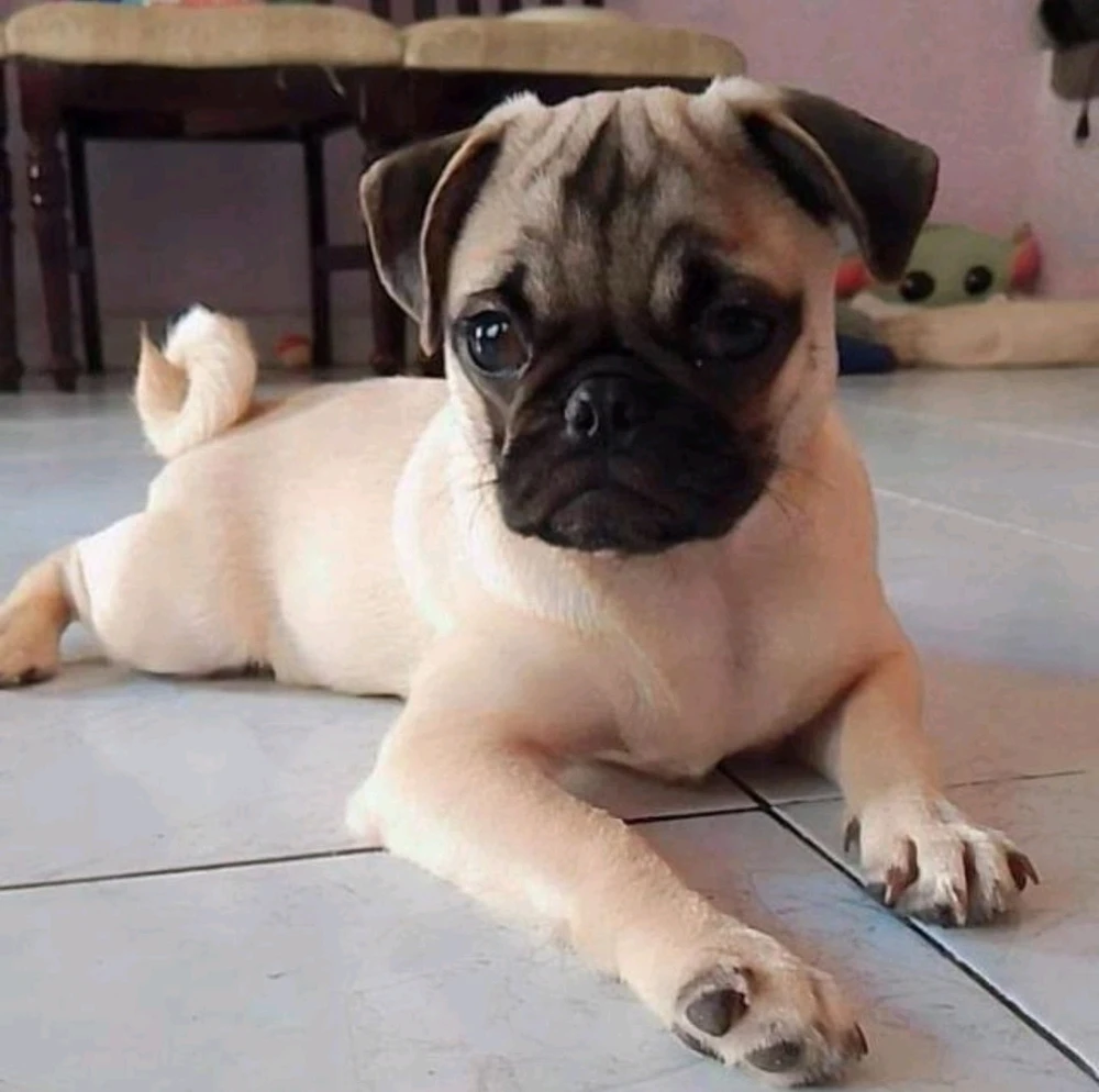 GIF subido por Carmen Cruz