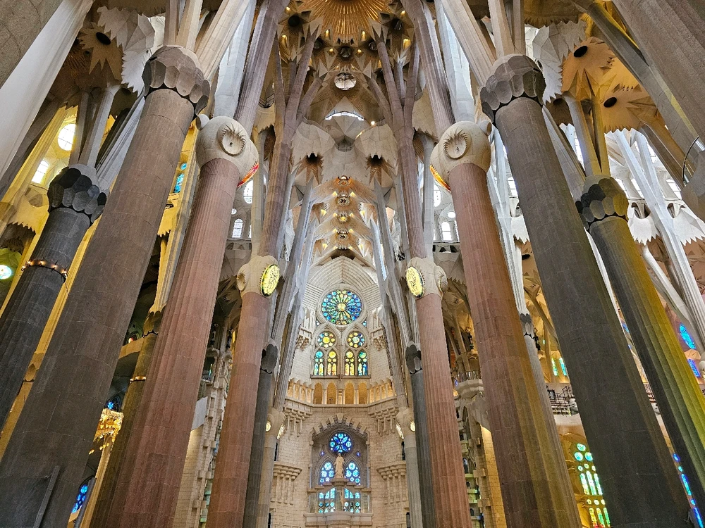 Image uploaded by Tom