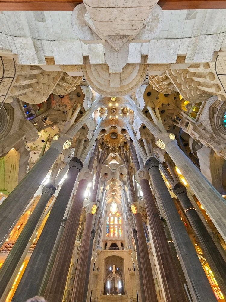 Image uploaded by Tom