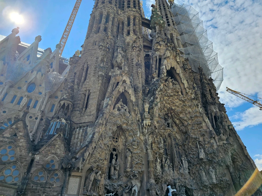 Image uploaded by Tom