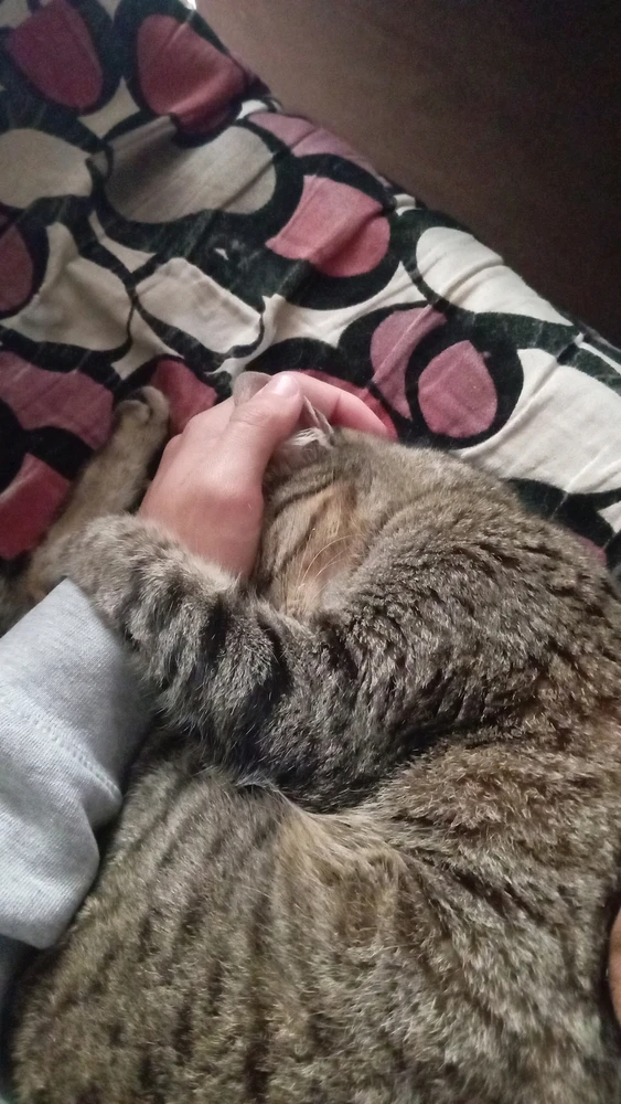 GIF ngarkuar nga Mora