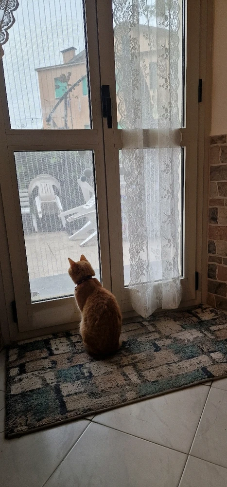 GIF caricata da Alex