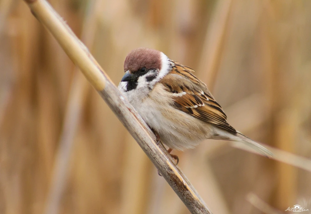 GIF uploaded by Artur