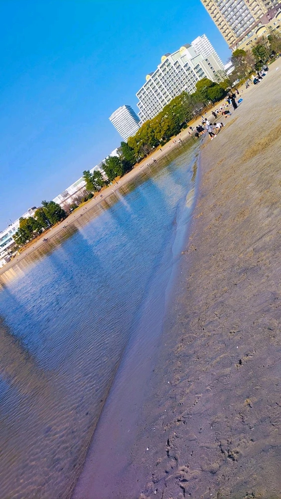 夜景がアップロードした画像